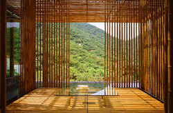 bamboo-wall.jpg